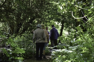 A group of people walking through a wild woodland