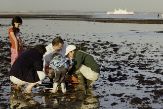 A family searching for sea creatures on a beach