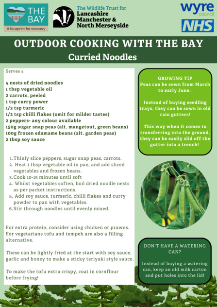 Image of the Curried Noodles recipe