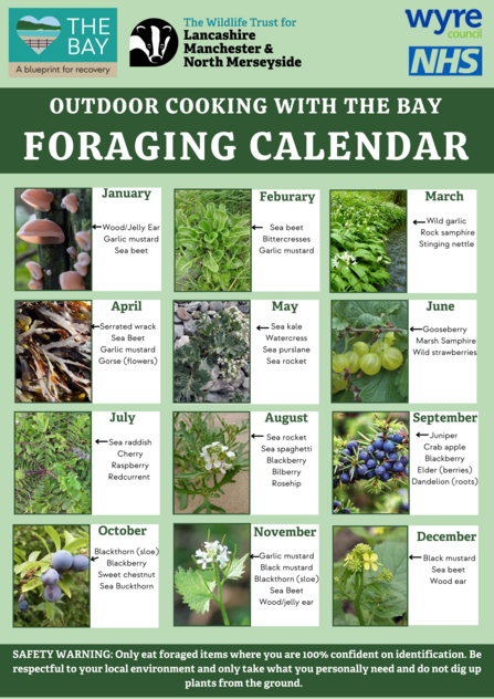 An image of the foraging calendar