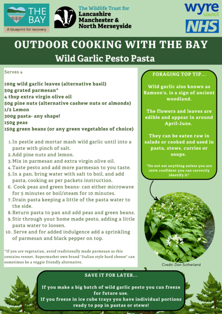 Image of the Wild Garlic Pesto Pasta recipe