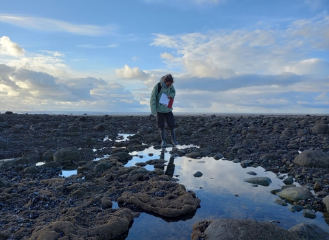 A person looking down at a rockpool on a pebble beach