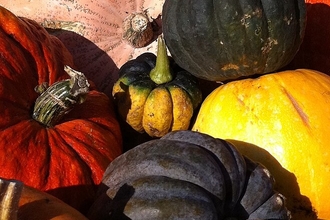 Different coloured pumpkins