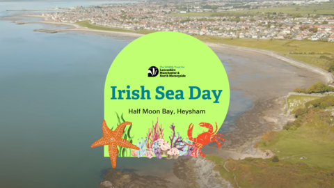A banner which reads 'Irish Sea Day. Half Moon Bay, Heysham'