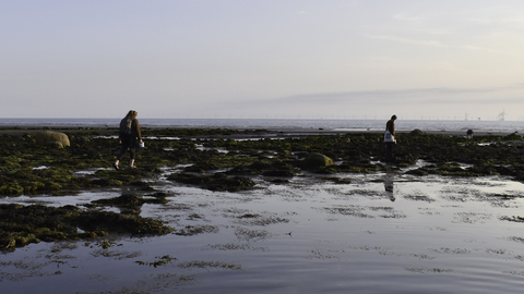 People on a beach surrounded by rockpools