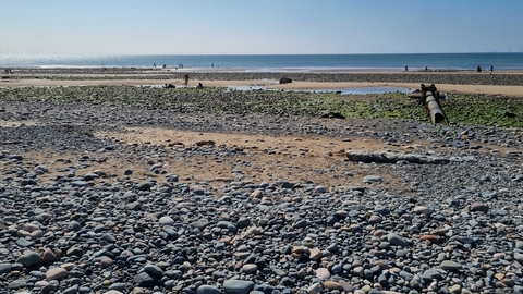 Pebbled beach with sea in distance.