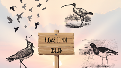 do not disturb signs