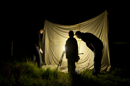 Moth trapping (c) Ross Hoddinott/2020VISION