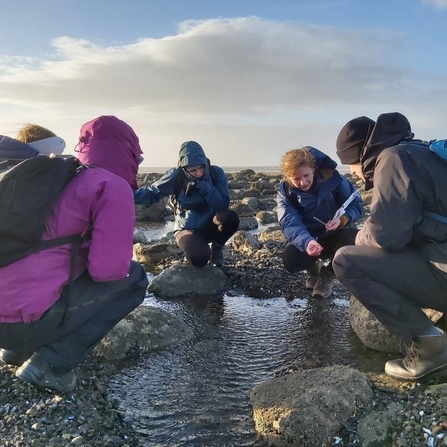 4 people gathered around a rockpool