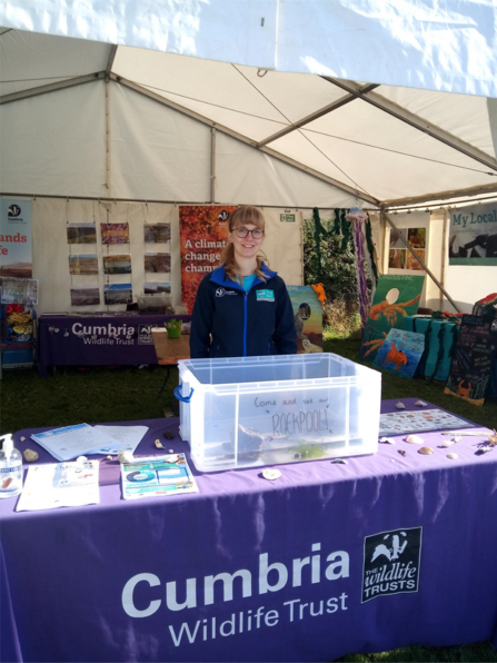 Portable rockpool at a fair