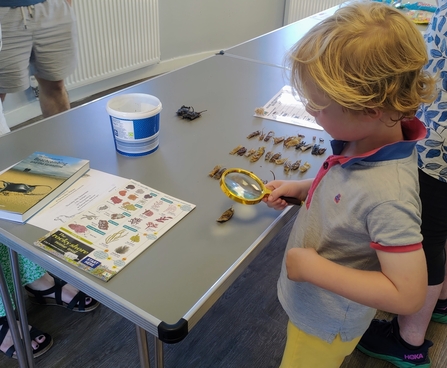 child with magnifying glass