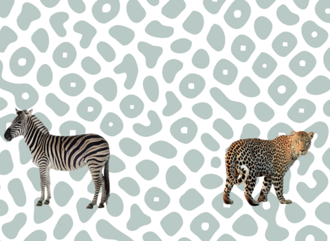 A turing pattern with a picture of a leopard and a zebra